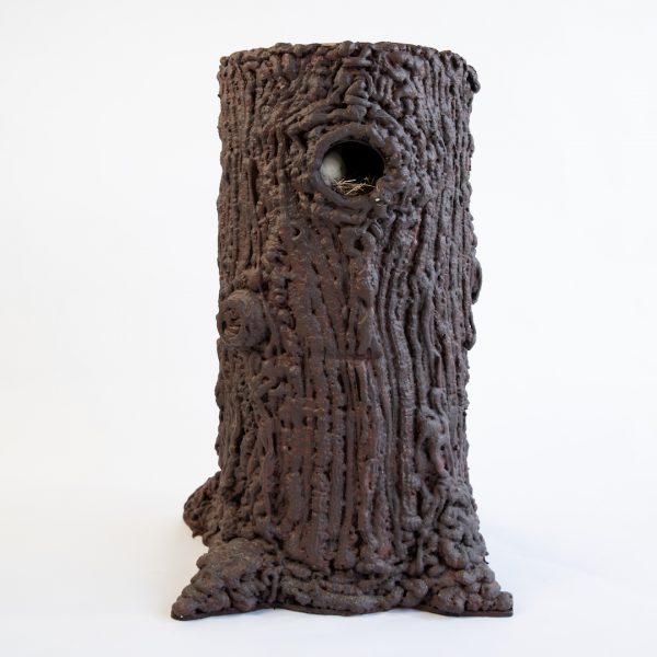 Tree trunk, garden,